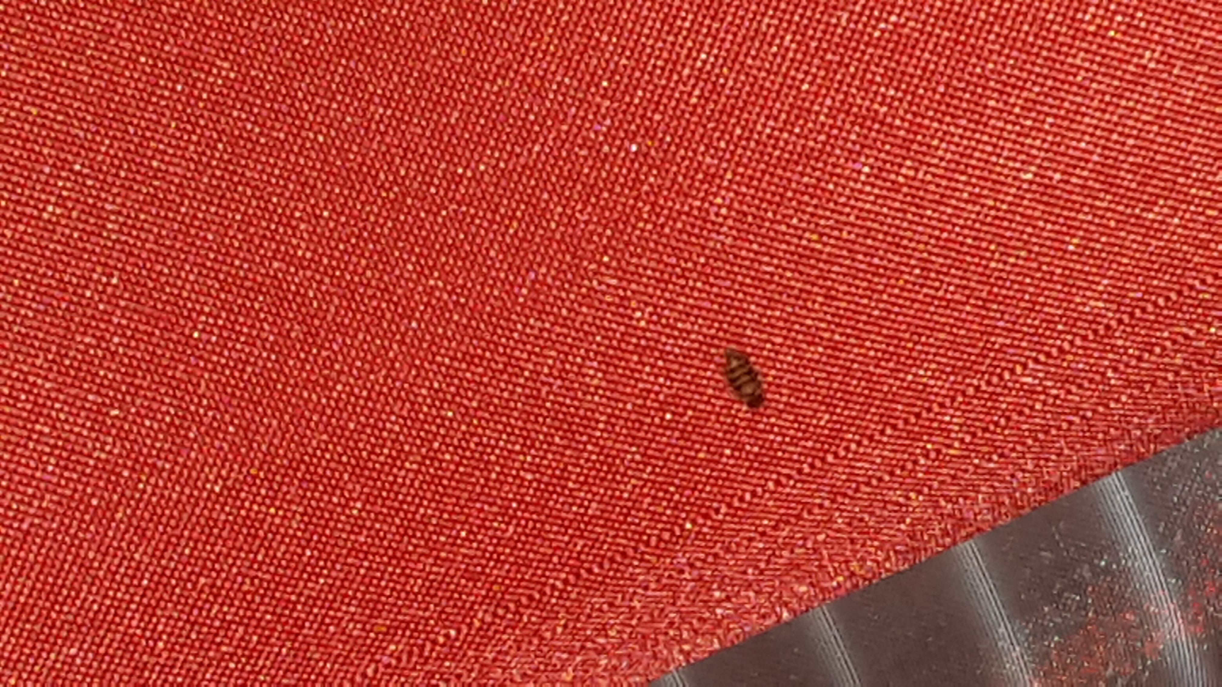 Picture for question