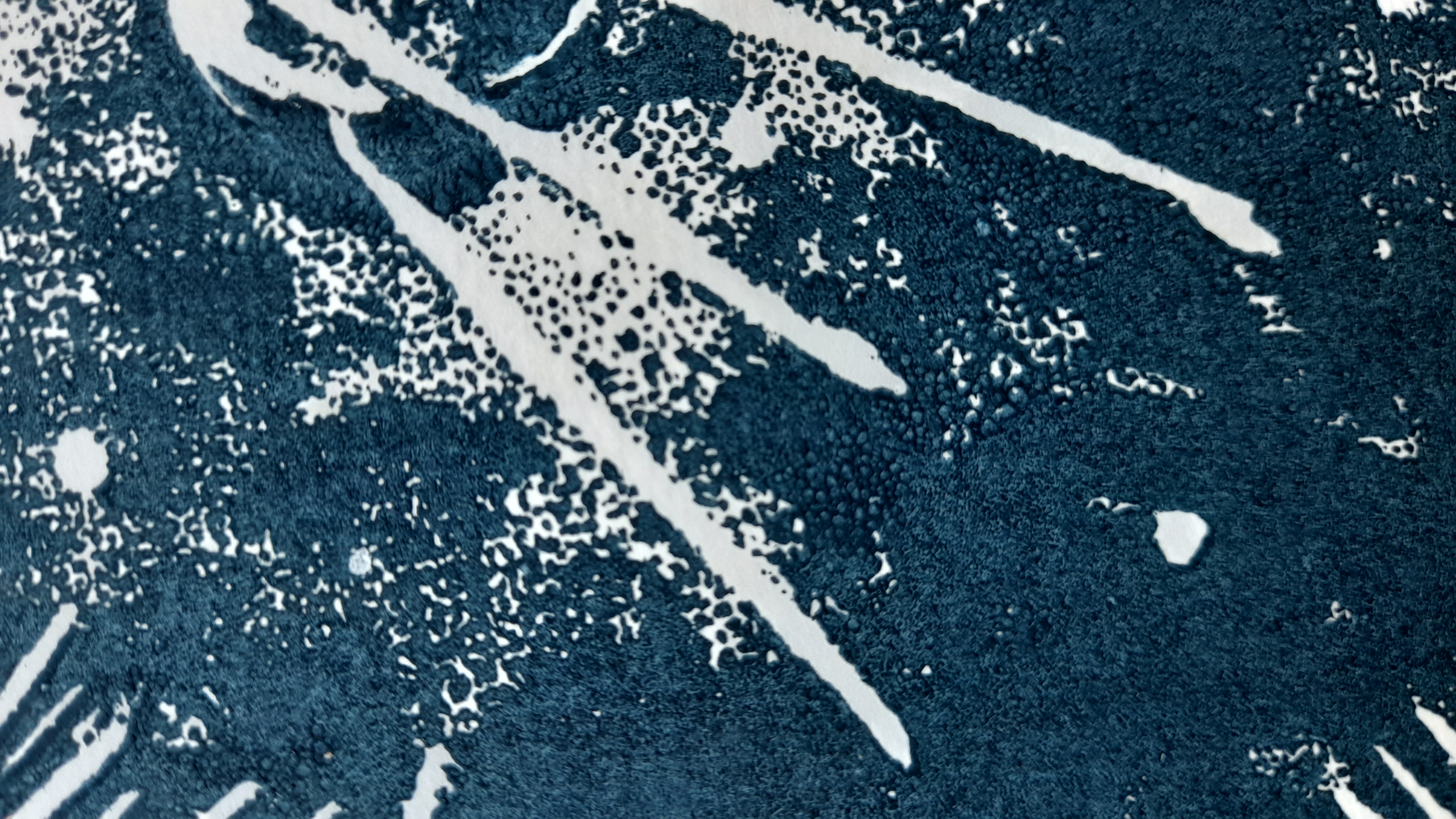 Picture for question