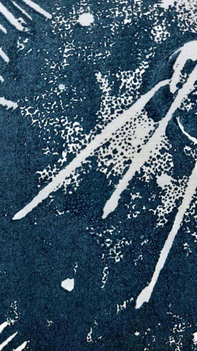 Picture for question