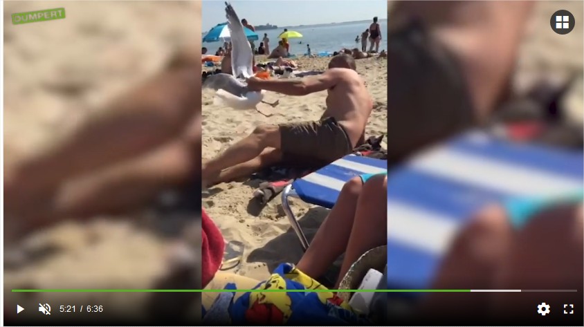 Picture for question