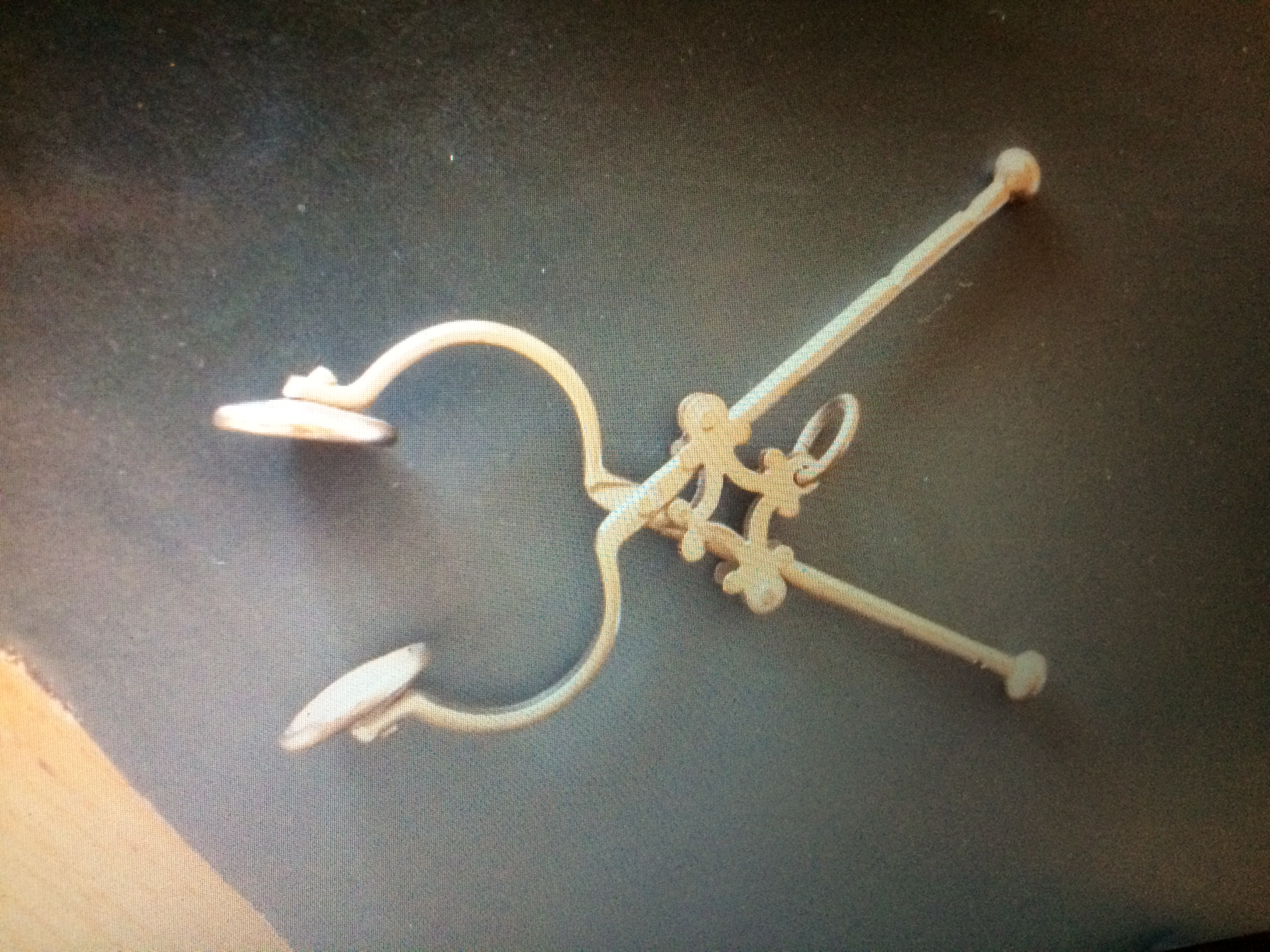 Picture for question