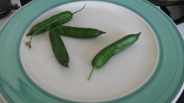 Picture for question