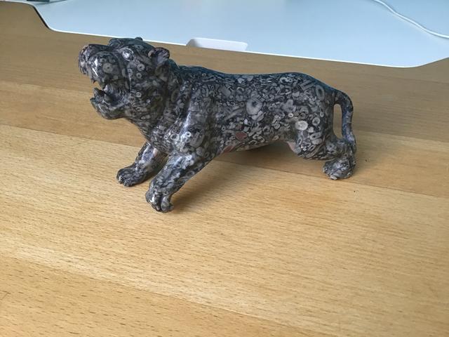 Picture for question