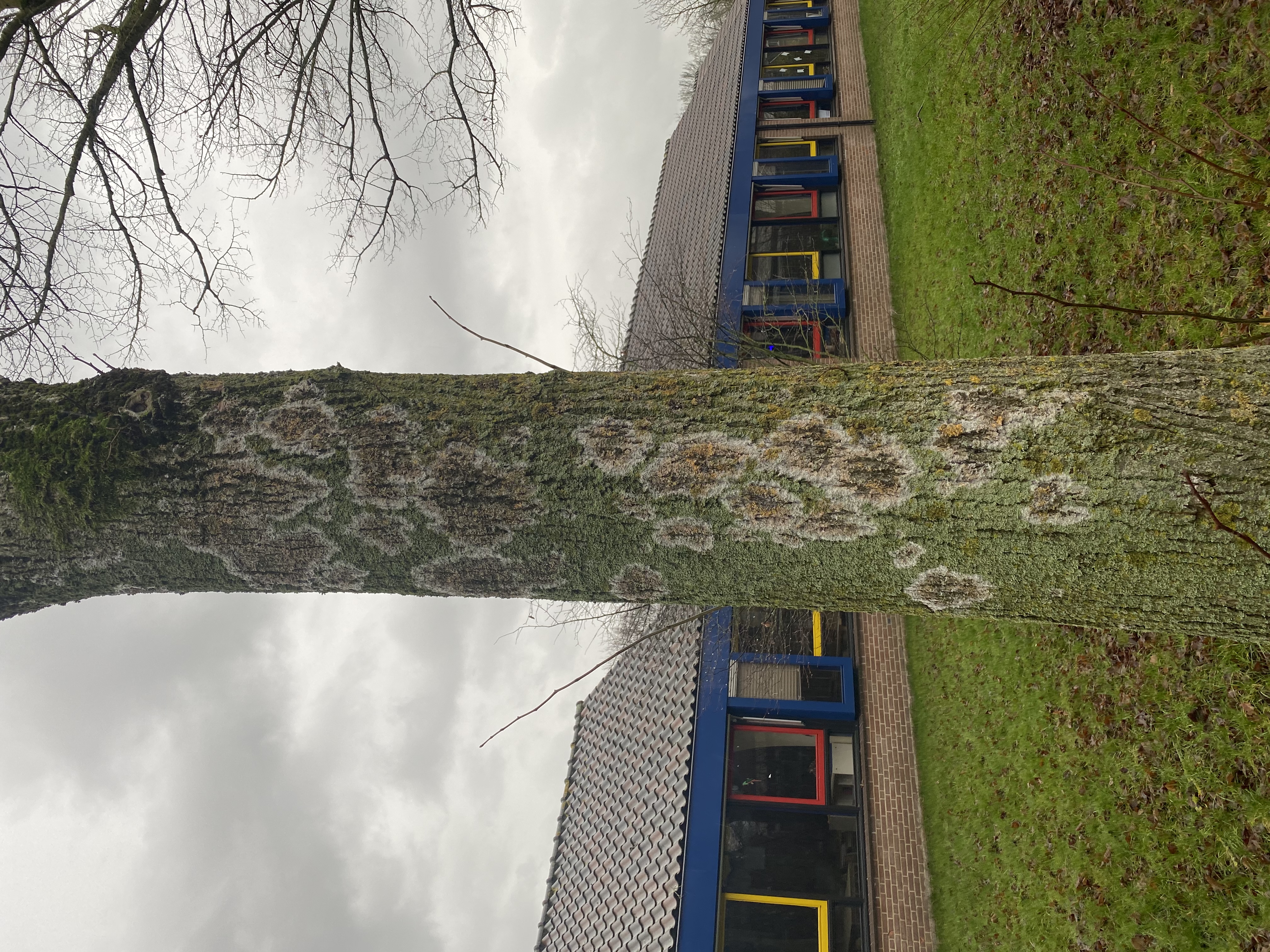 Picture for question