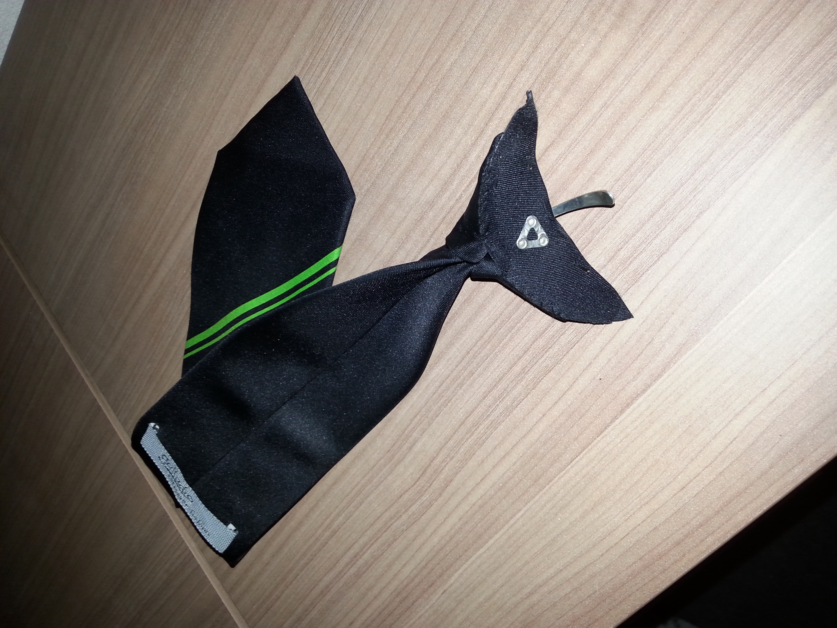 Picture for question