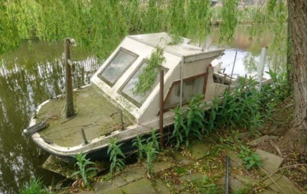 Picture for question