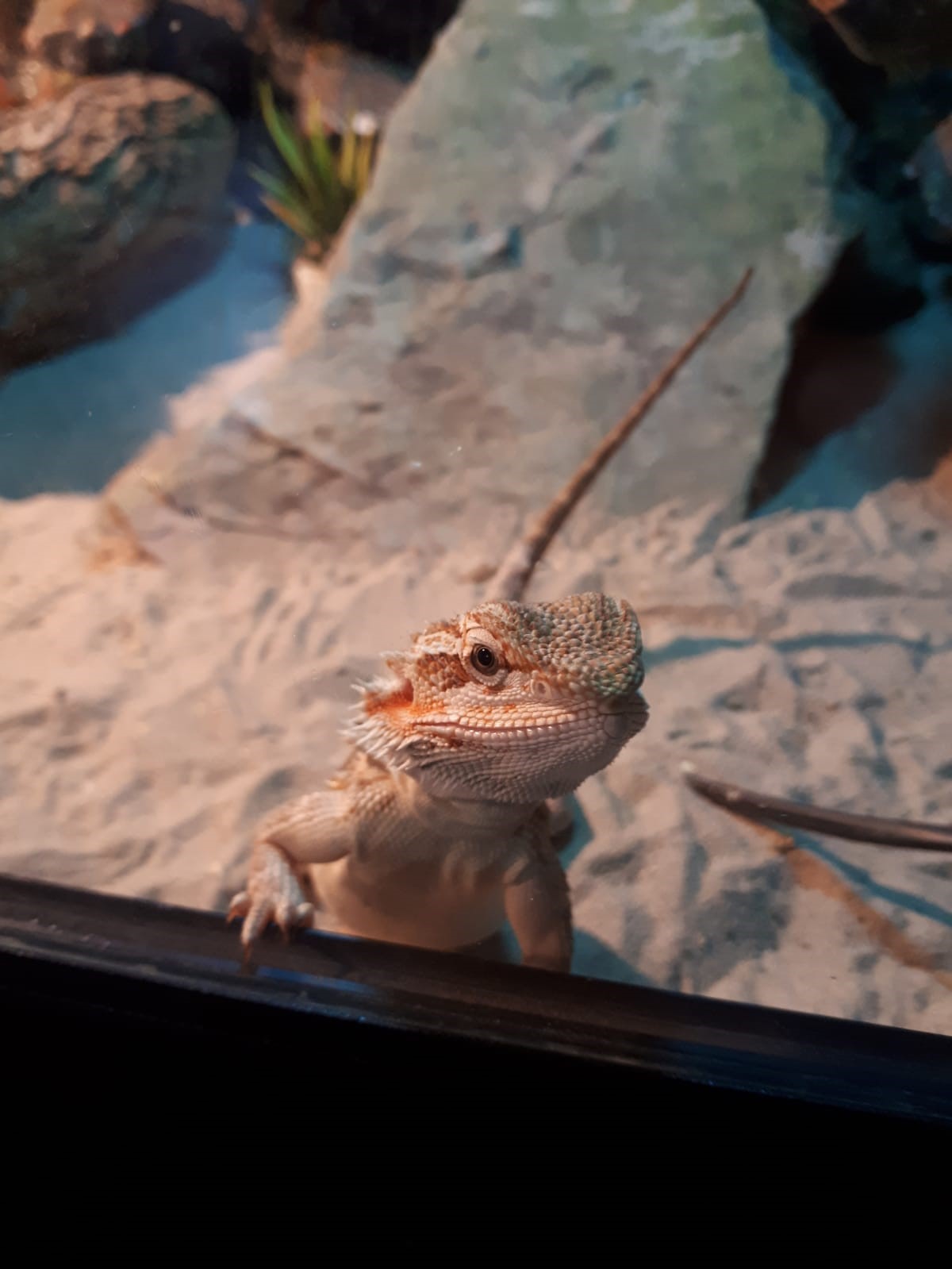 Plaatje bij antwoord