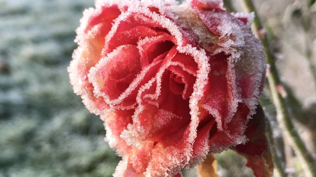 Plaatje bij antwoord