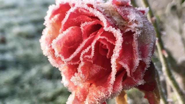 Plaatje bij antwoord