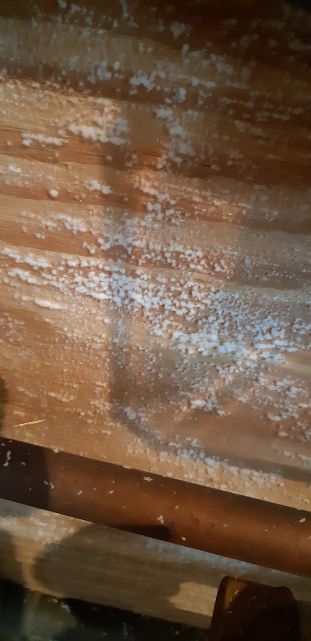 Picture for question