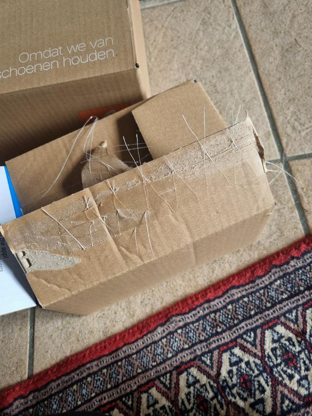 Picture for question