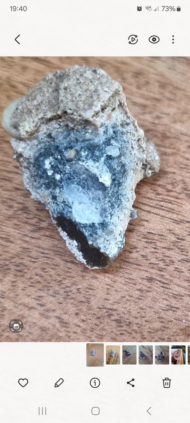 Picture for question