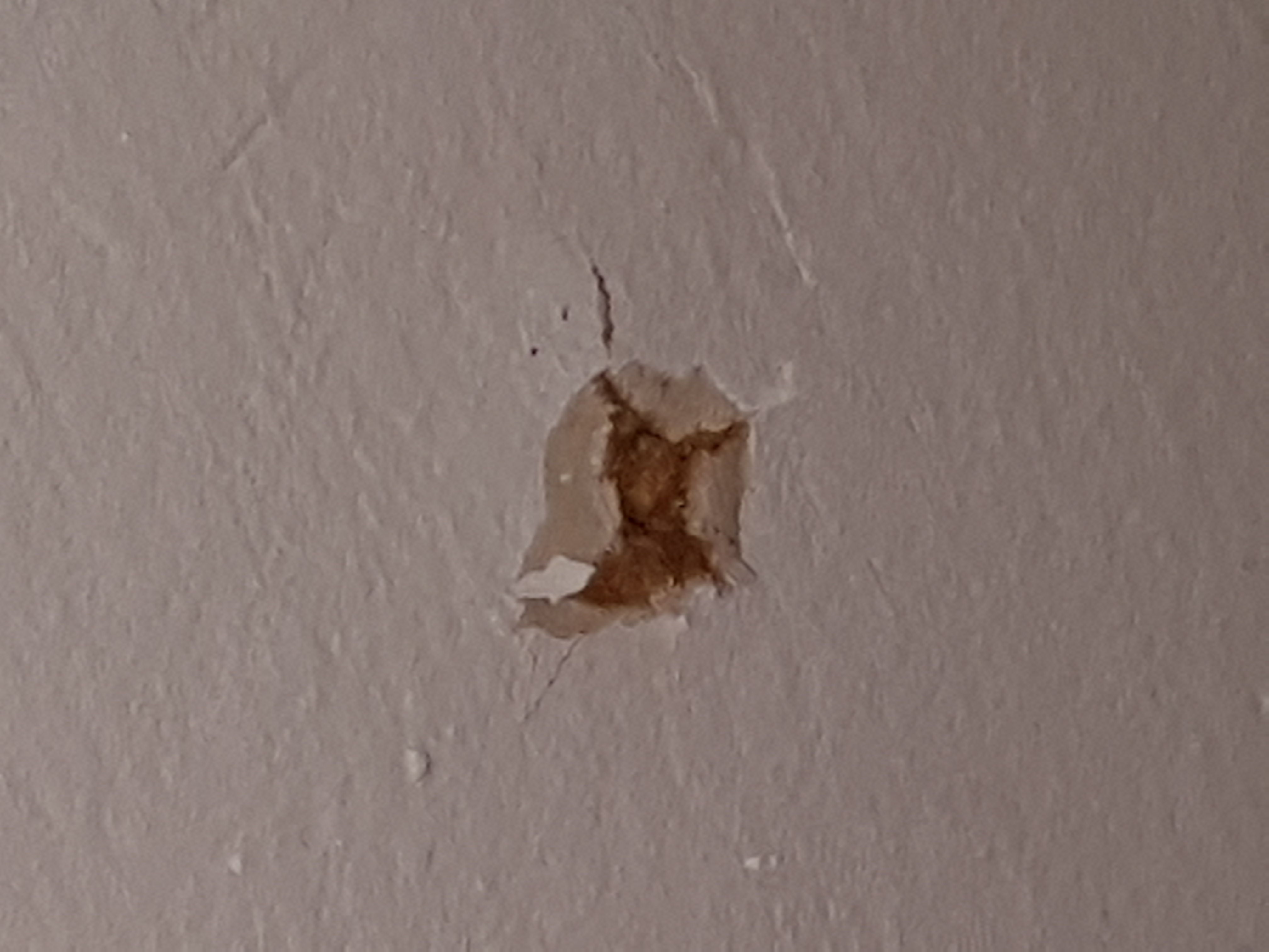 Picture for question