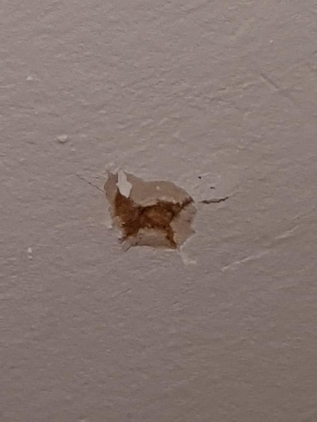 Picture for question