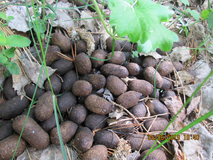 Plaatje bij antwoord