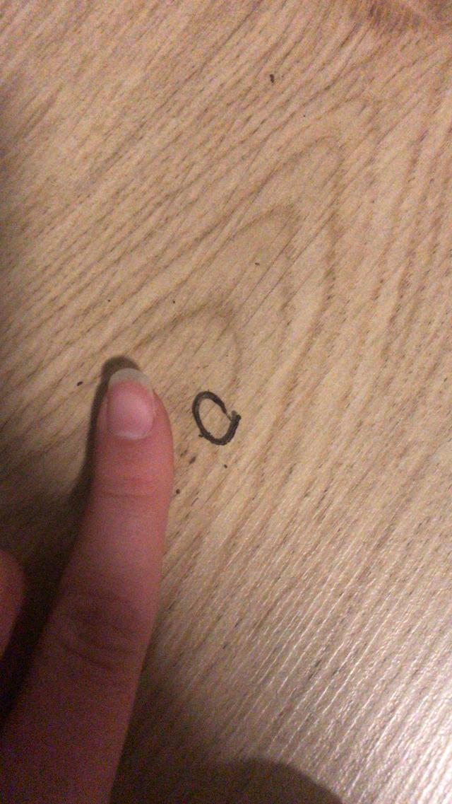 Picture for question