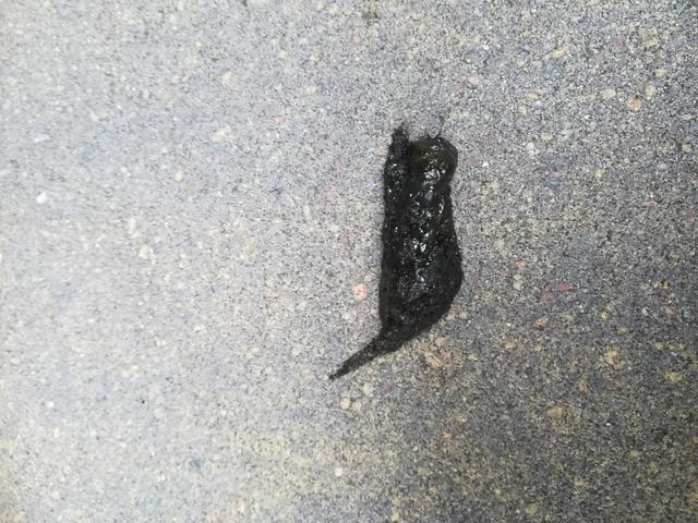 Picture for question