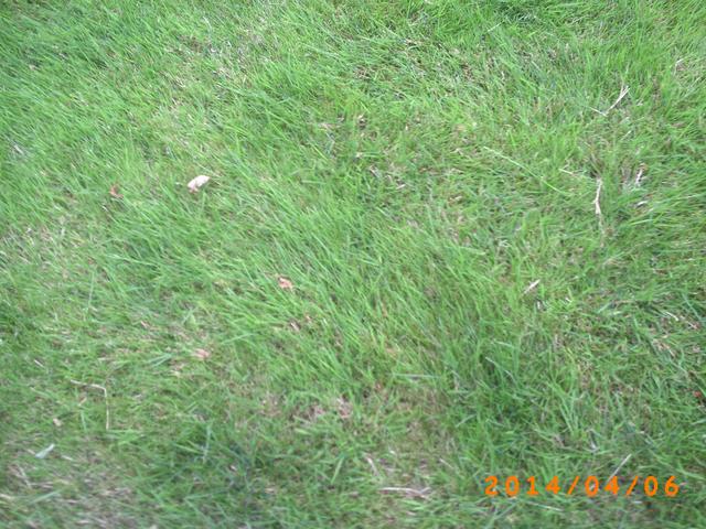 Picture for question