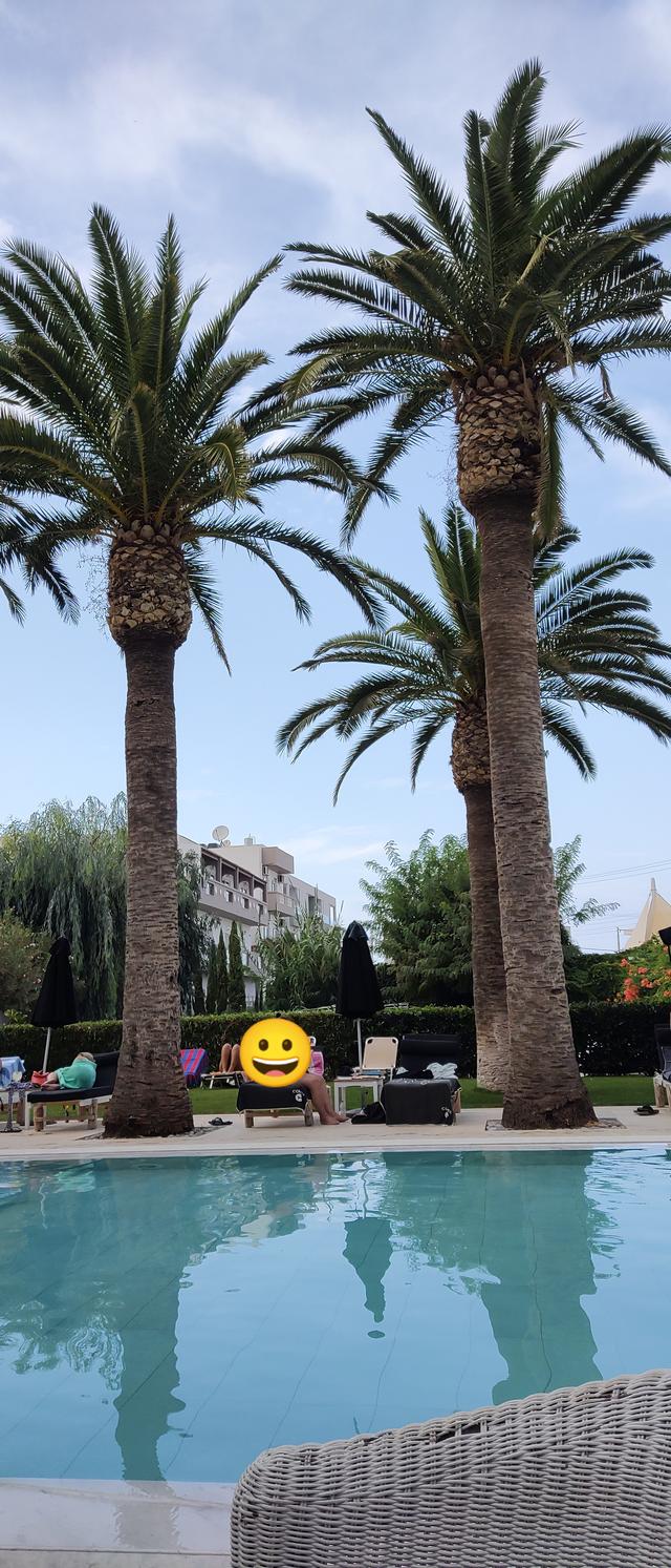 Picture for question