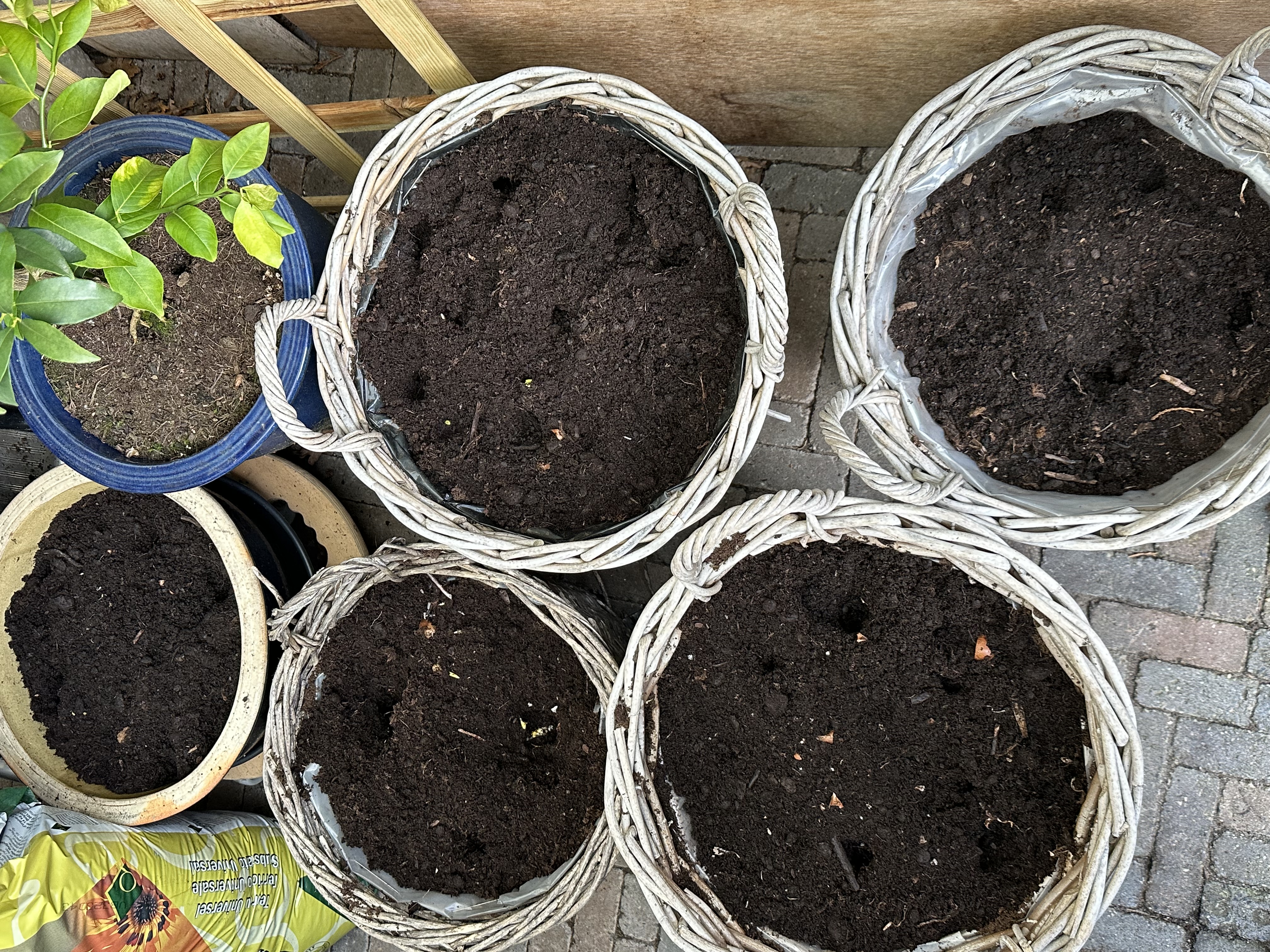 Picture for question