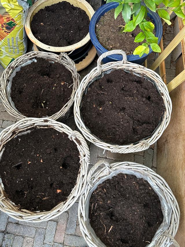 Picture for question