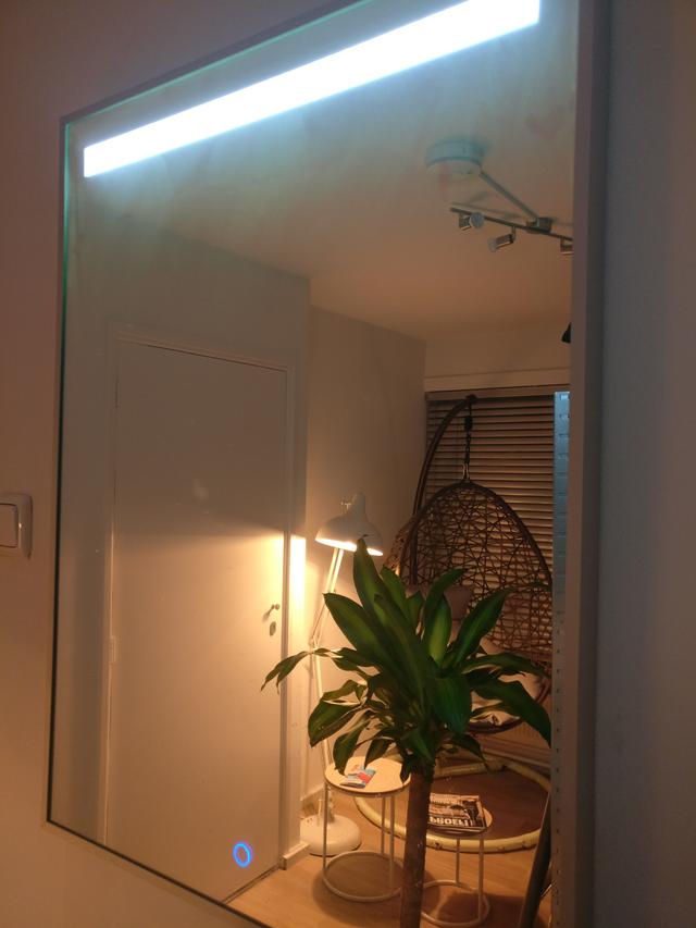 Picture for question