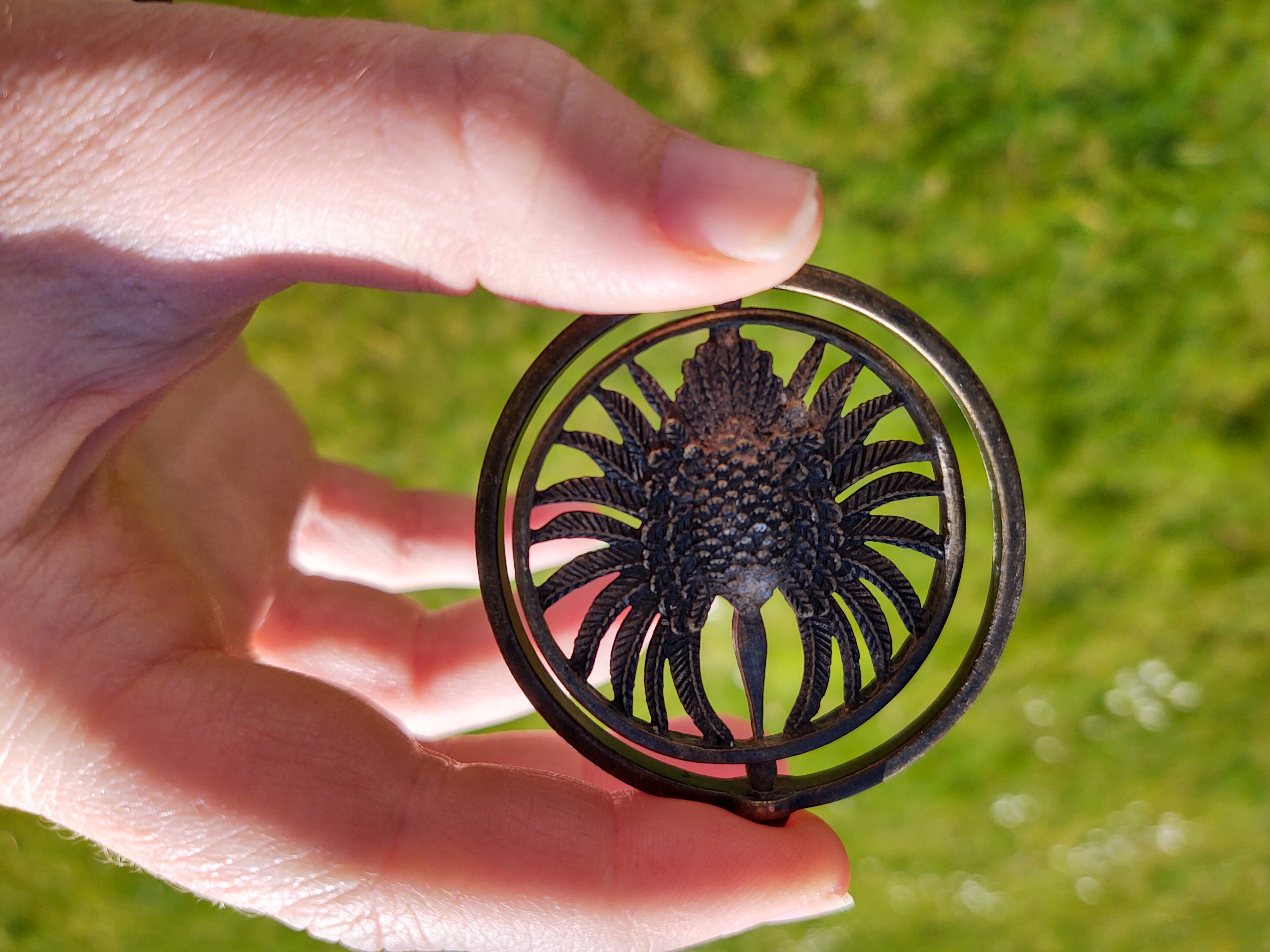 Picture for question