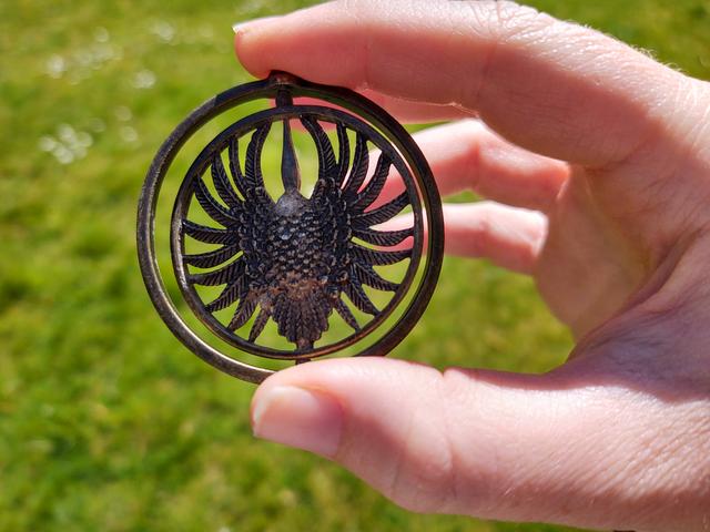 Picture for question