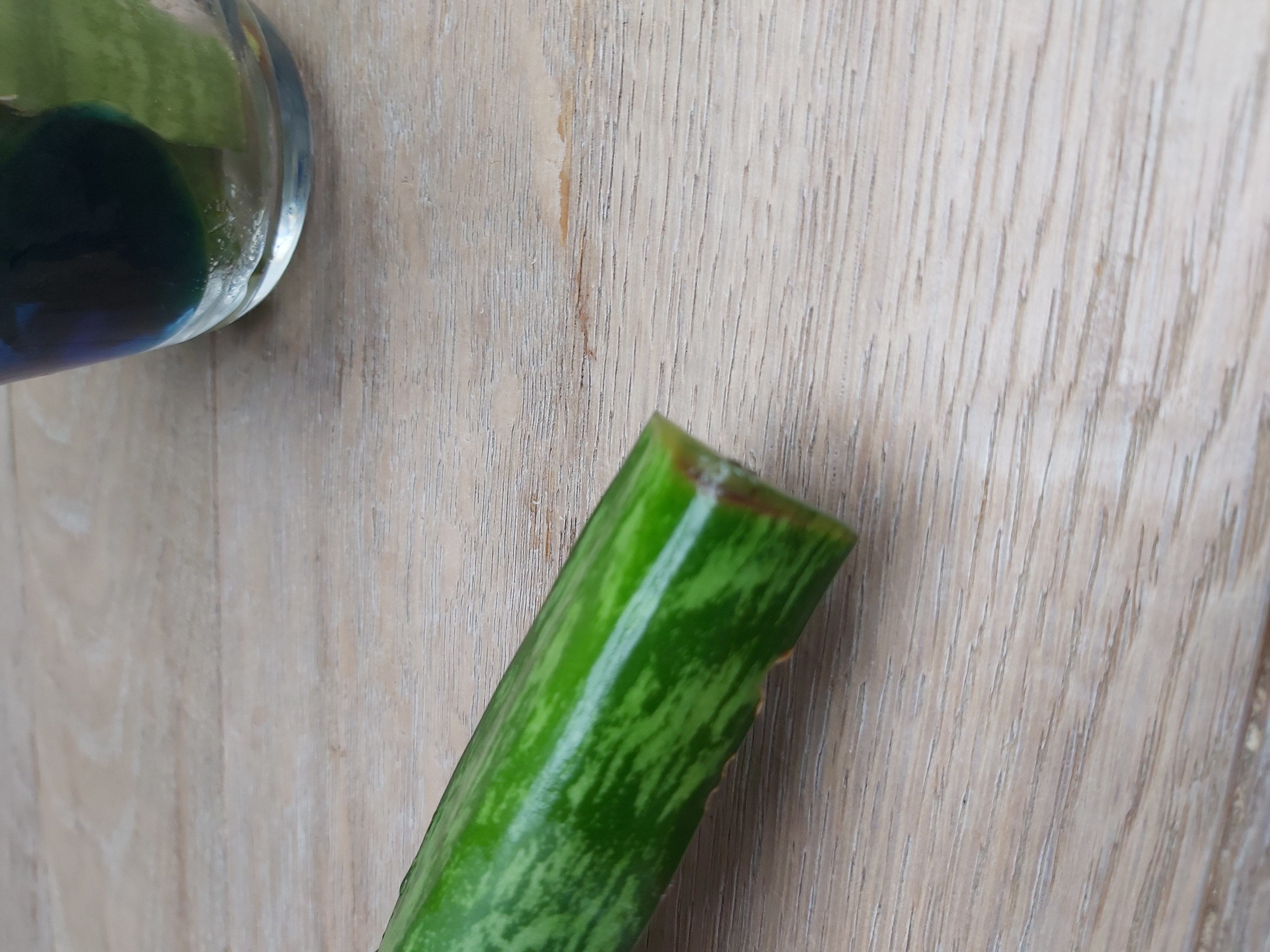 Picture for question