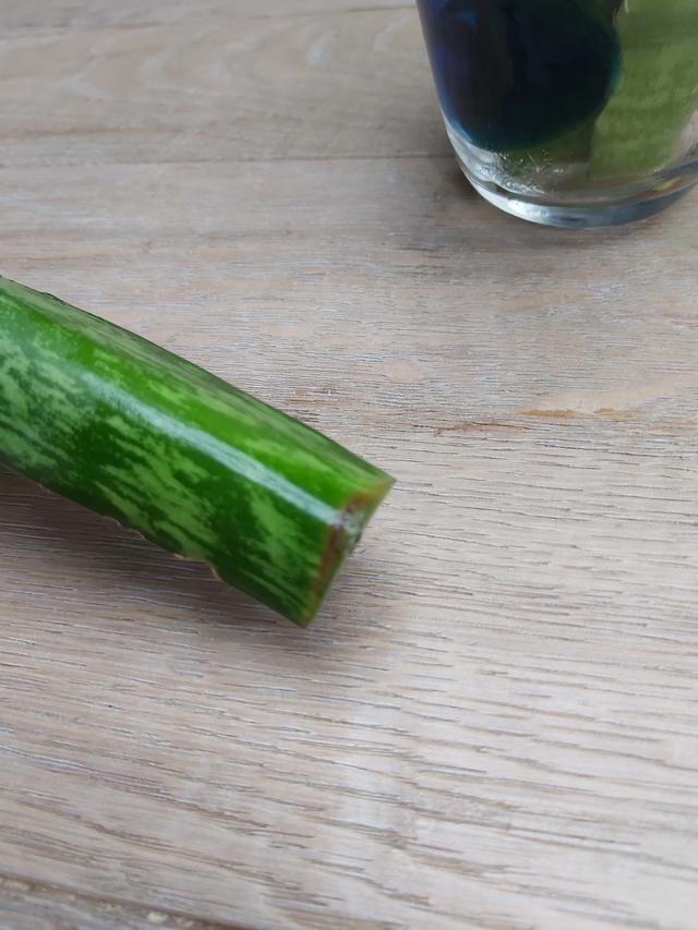 Picture for question