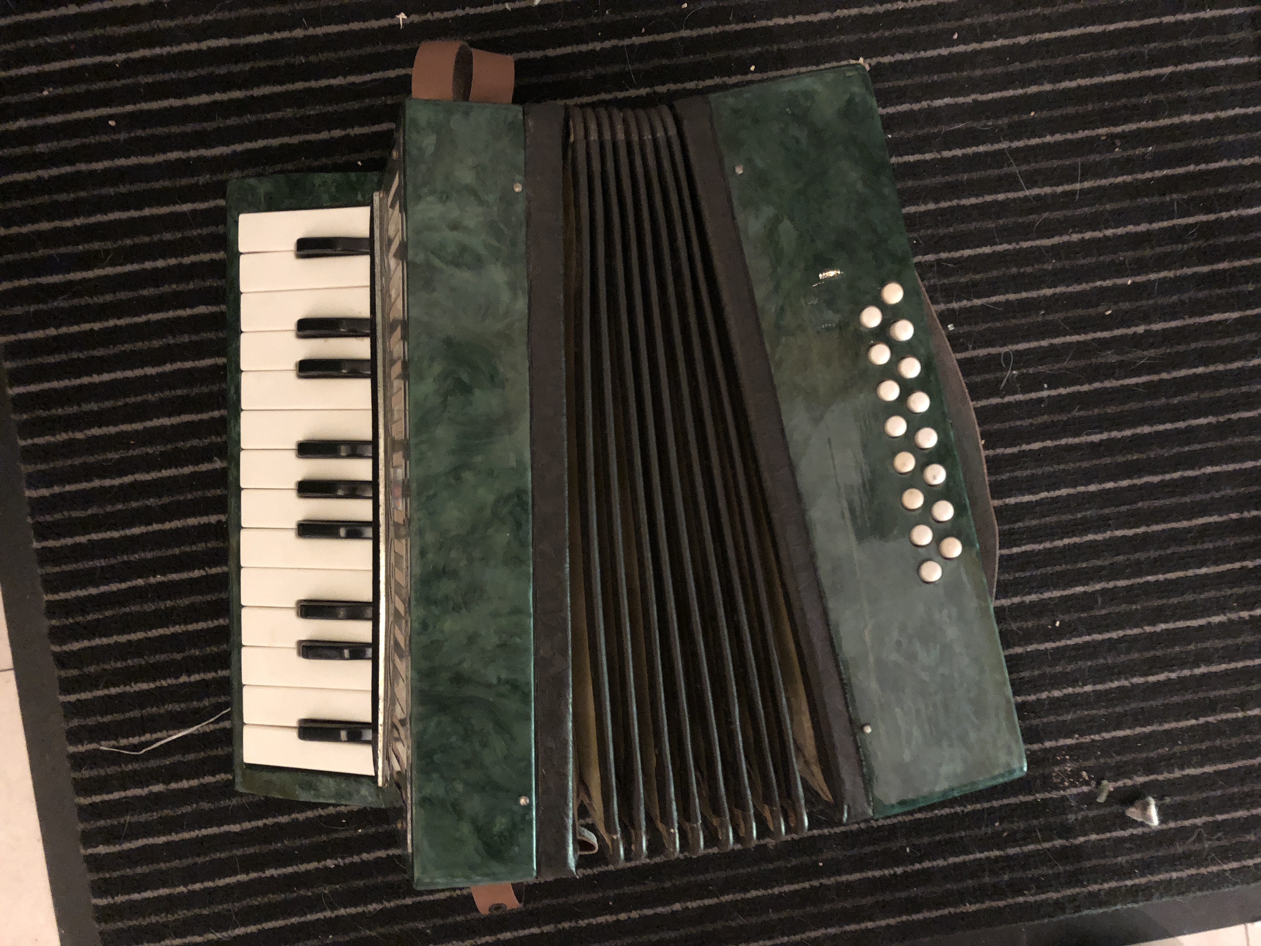 Picture for question