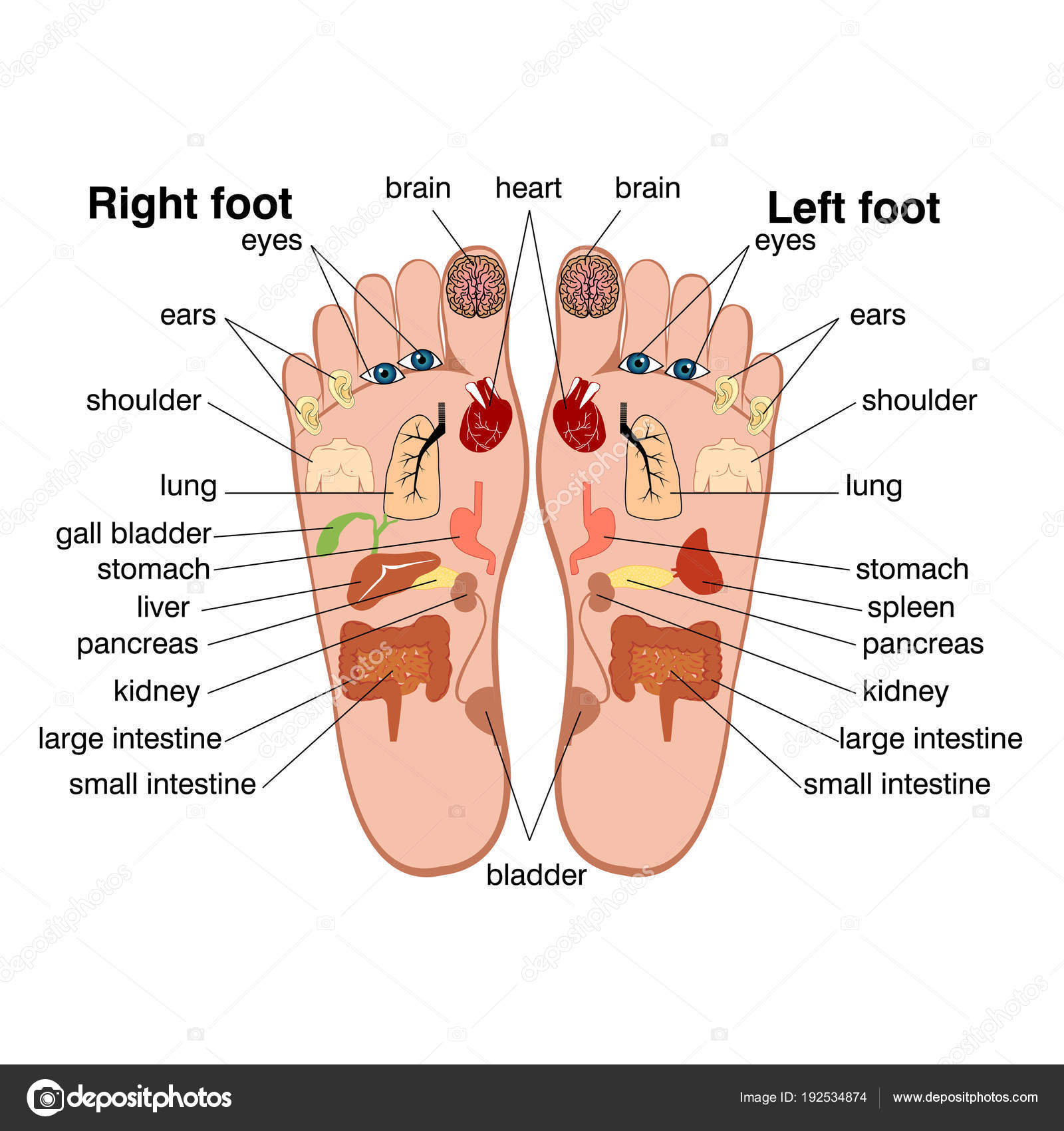 Picture for question