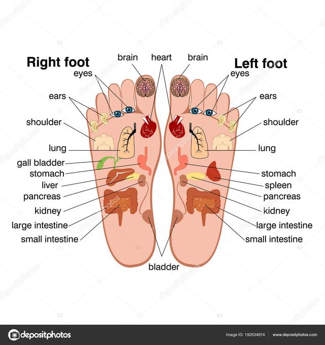 Picture for question