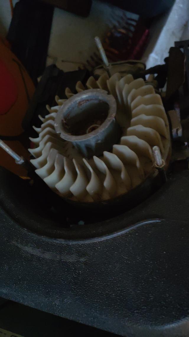 Picture for question