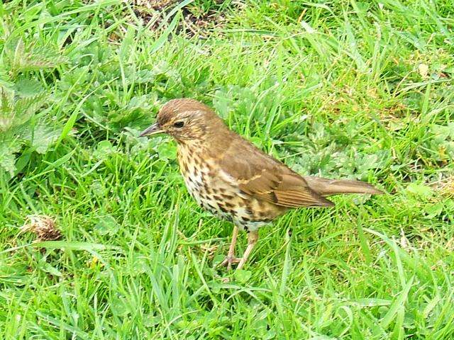 Plaatje bij antwoord