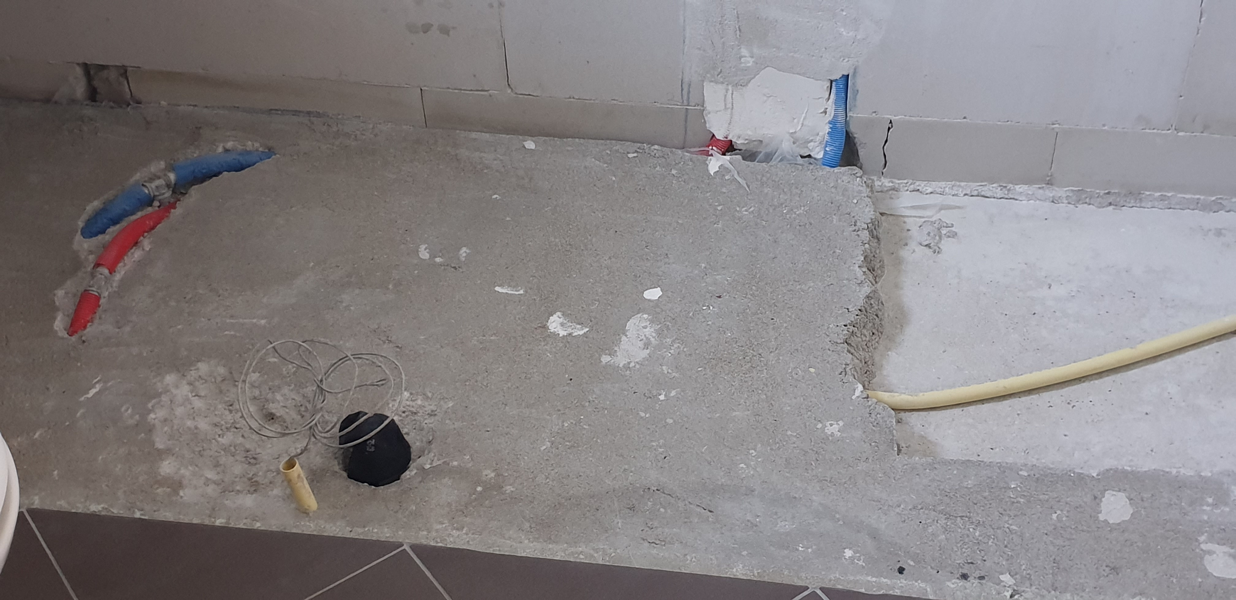 Picture for question