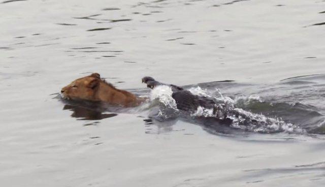 Plaatje bij antwoord