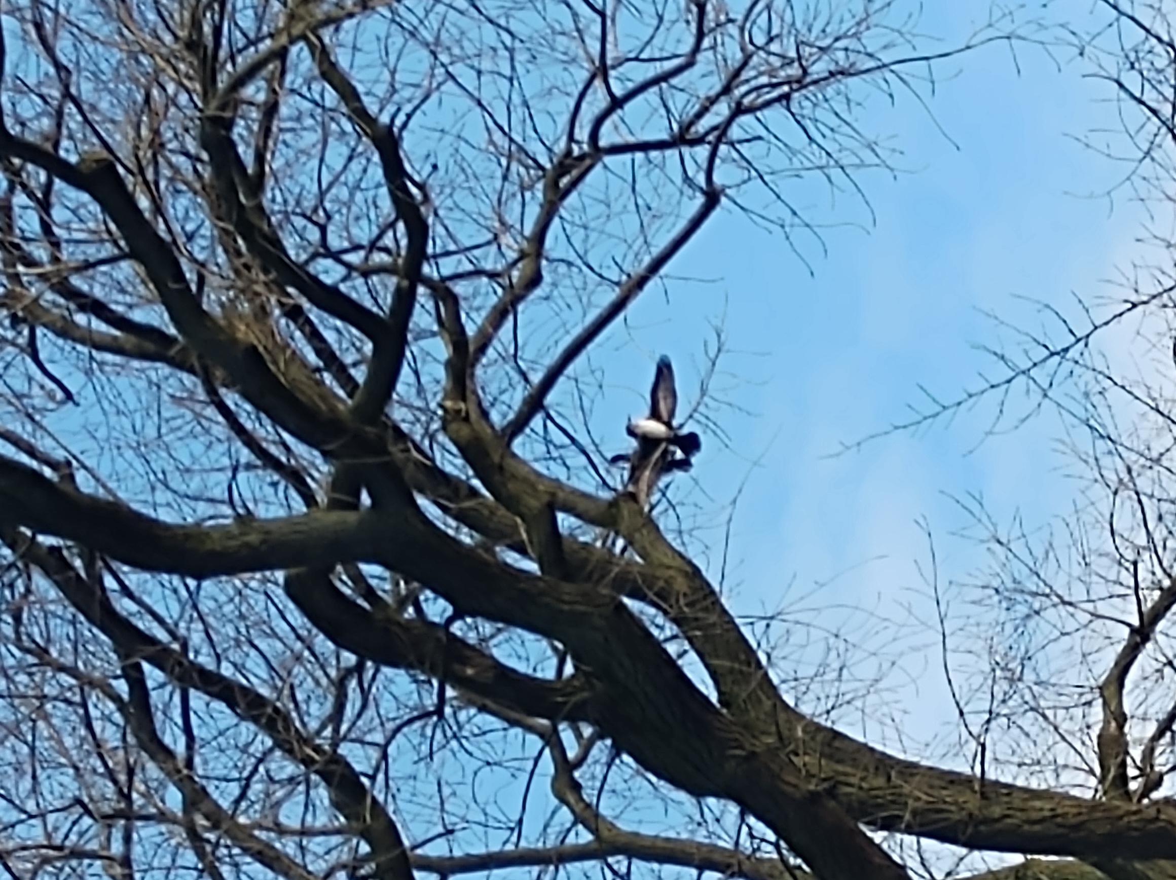 Picture for question