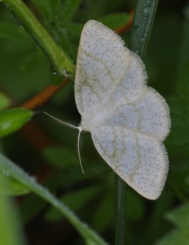 Plaatje bij antwoord