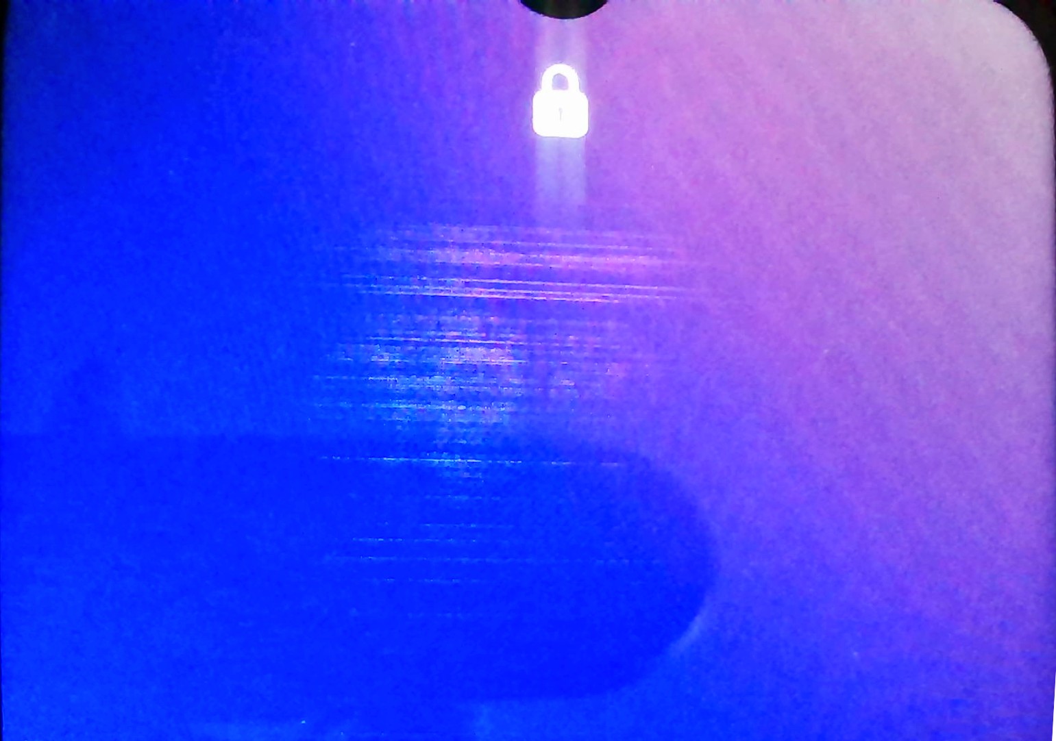 Picture for question