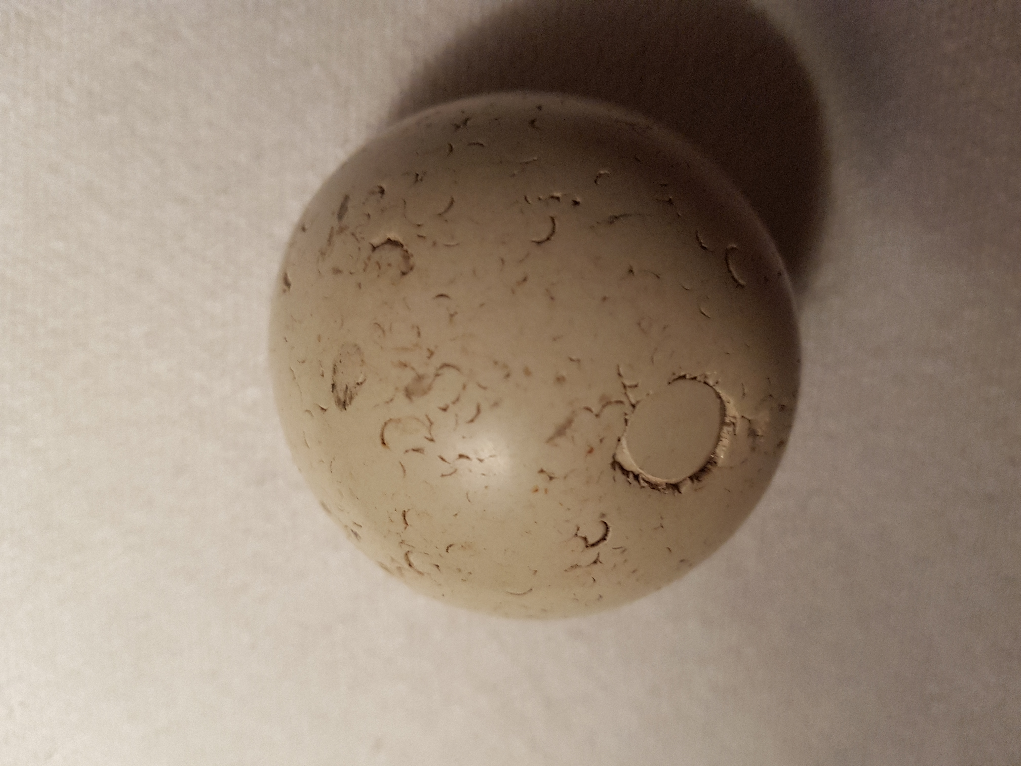 Picture for question