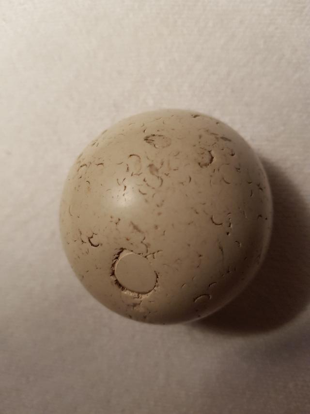 Picture for question