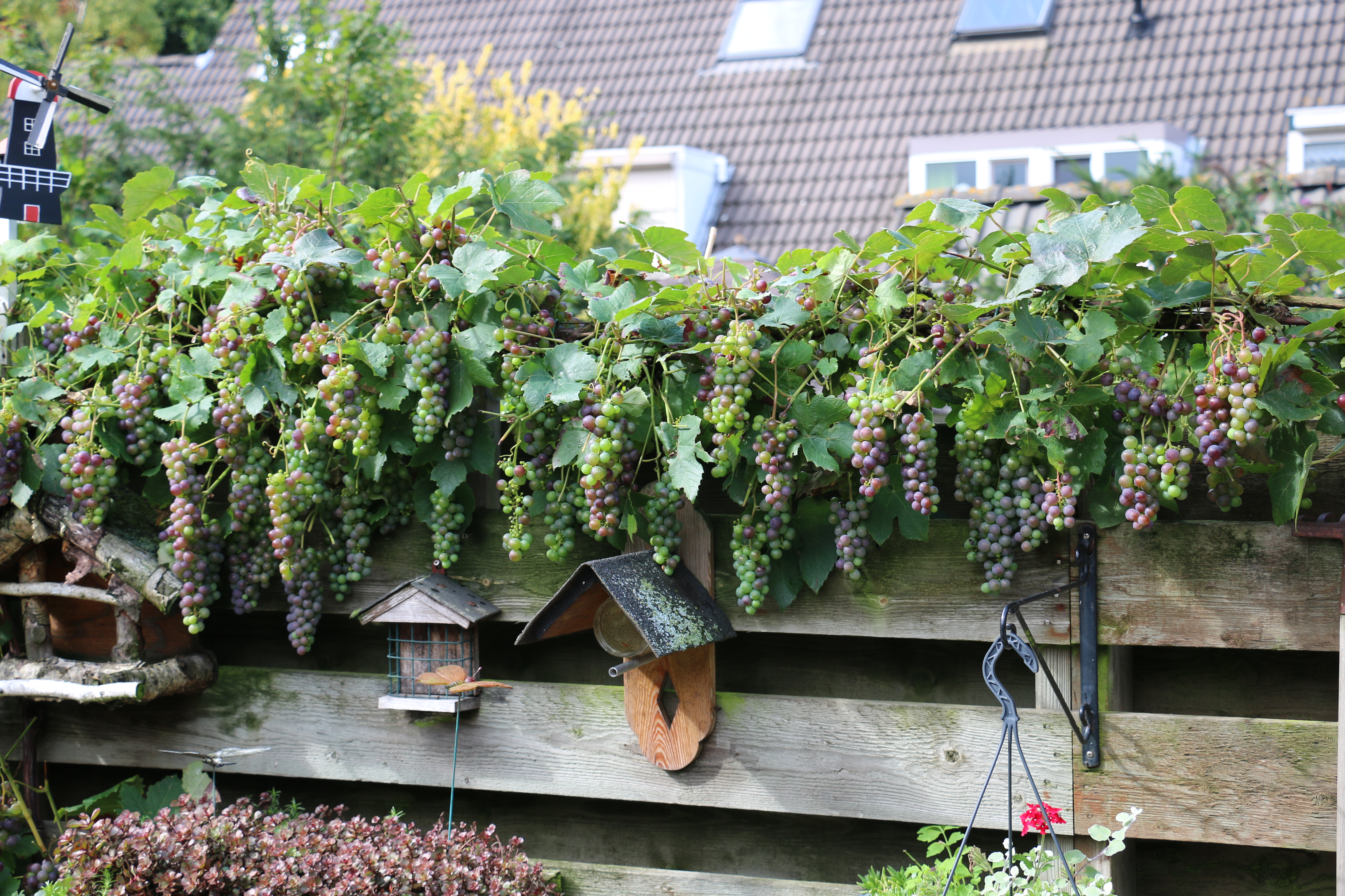 Plaatje bij antwoord