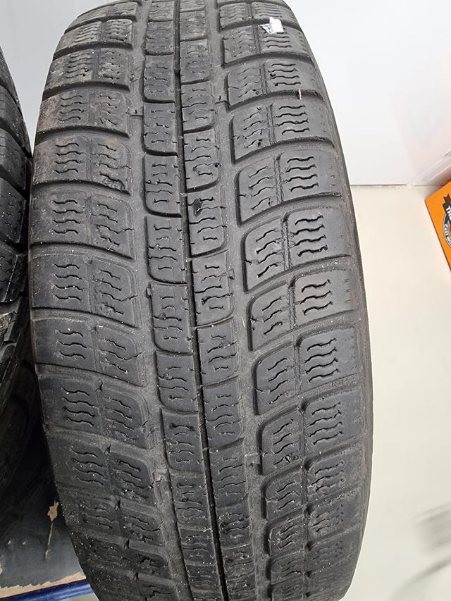 Picture for question