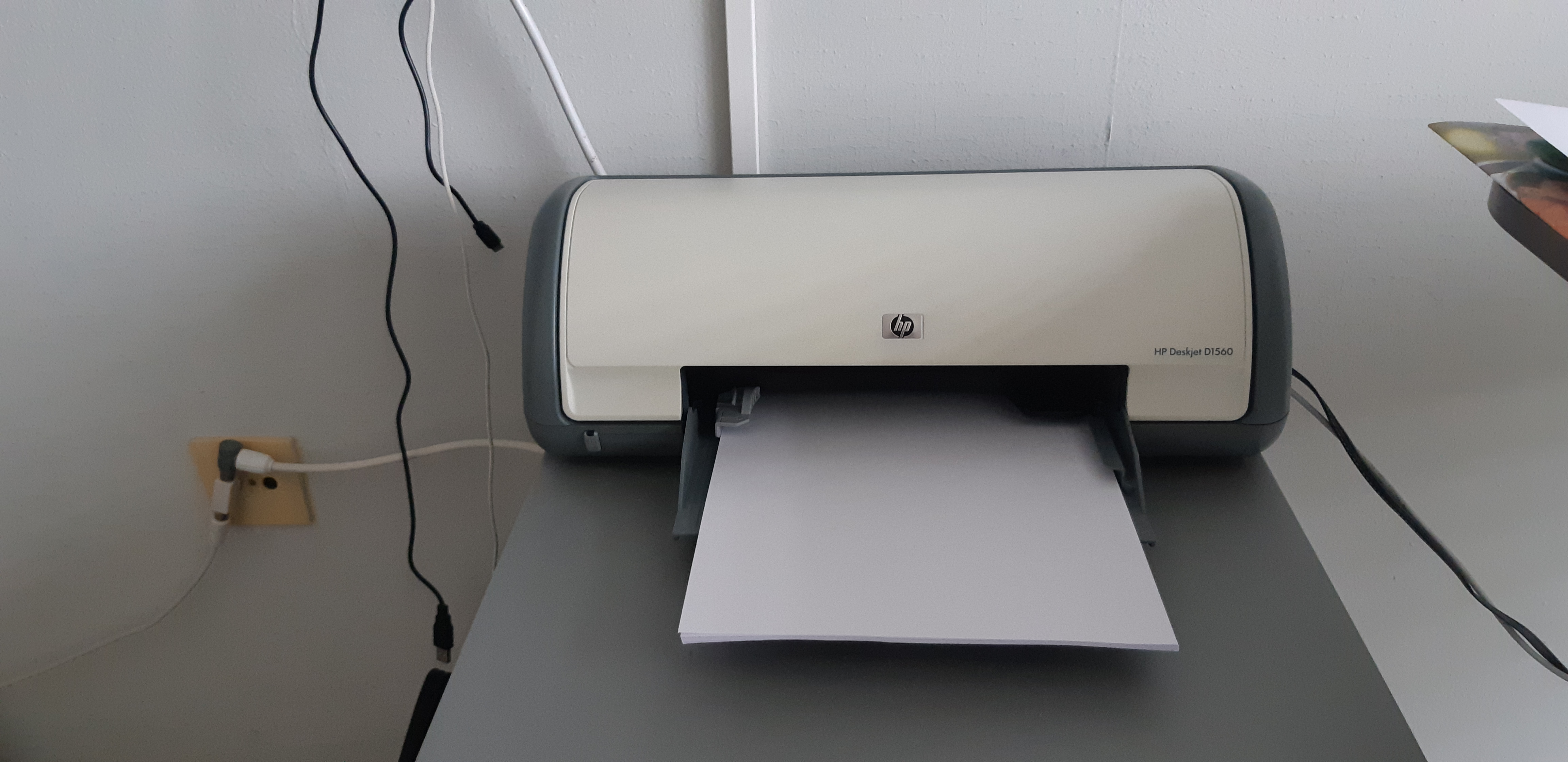 Picture for question