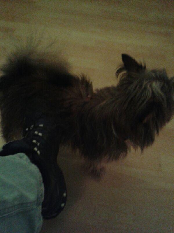 Picture for question