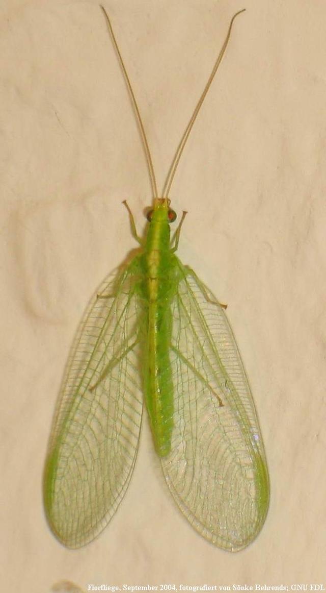 Plaatje bij antwoord