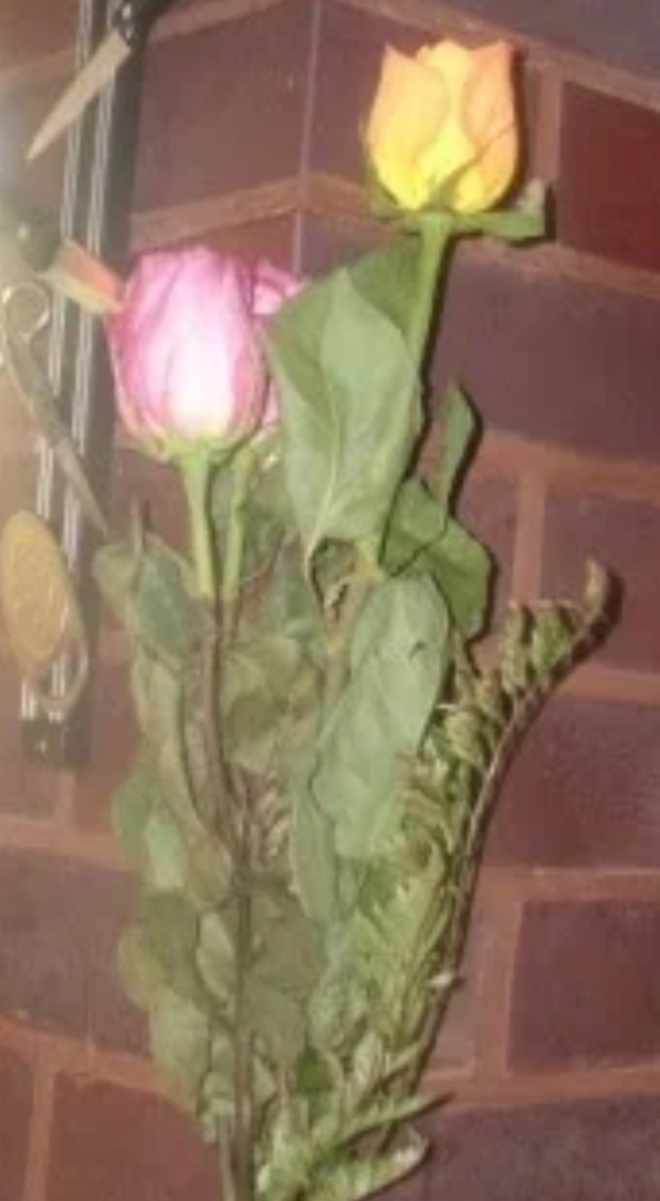 Plaatje bij antwoord