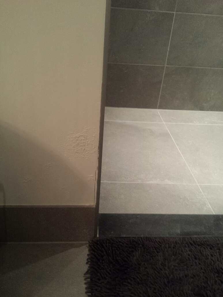 Picture for question