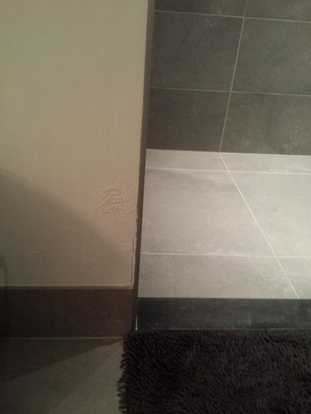 Picture for question